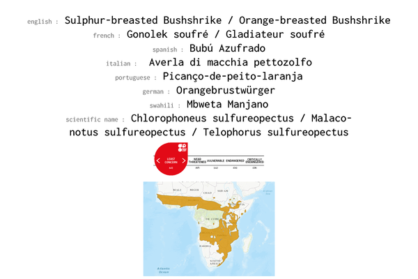 Names, conservation status and distribution