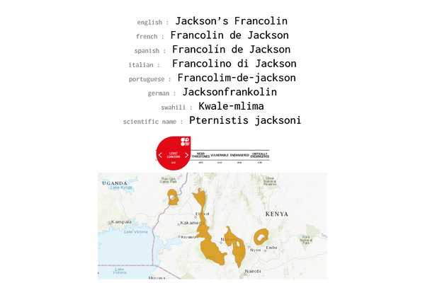 Names, conservation status and distribution of Jackson's Francolin