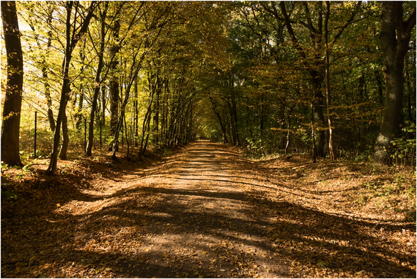 Wanderweg am Jugendparkweg