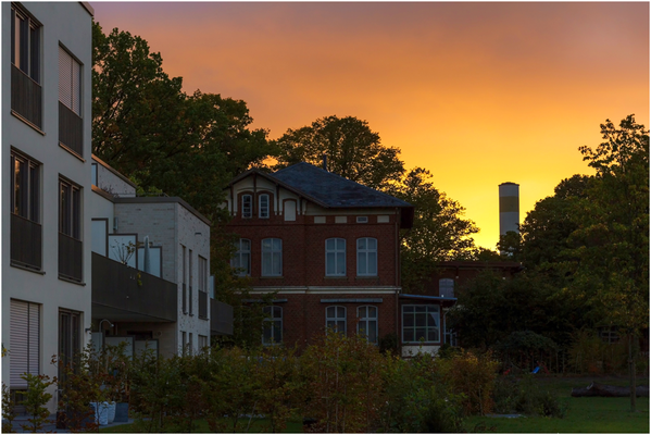 Sonnenaufgang beim Oxpark