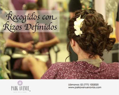 Recogido con Rizoz Definidos con Tocado by PARK AVENUE NOVIAS