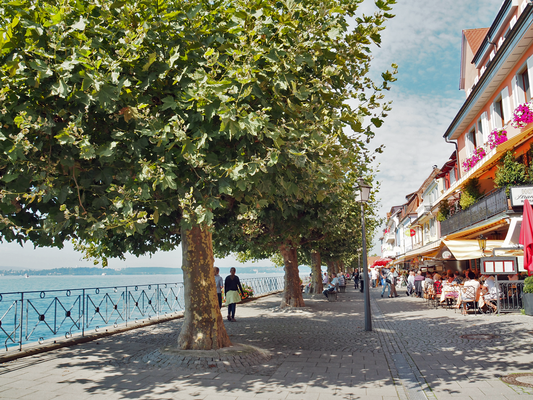 Die Promenade bietet Gastronomie für jeden Geschmack unmittelbar am See.