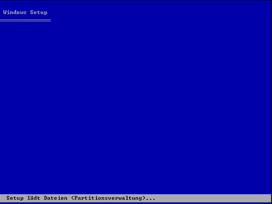Typisches NT blau. Windows XP analysiert erst die gegebene Hardware..