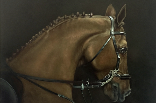 2016 Pferdekopf II Ölfarbe auf Leinwand 60 × 80 cm