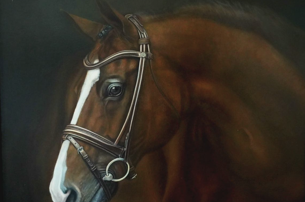 Delaram Homayouni - 2016 Pferdekopf I Ölfarbe auf Leinwand 60 × 70 cm
