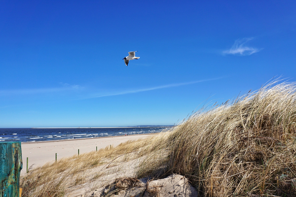 Strand - Erlebe Deinen exklusiven Urlaub an der polnischen Ostsee! In Deiner Reiserei, Reisebüro in Berlin Brandenburg