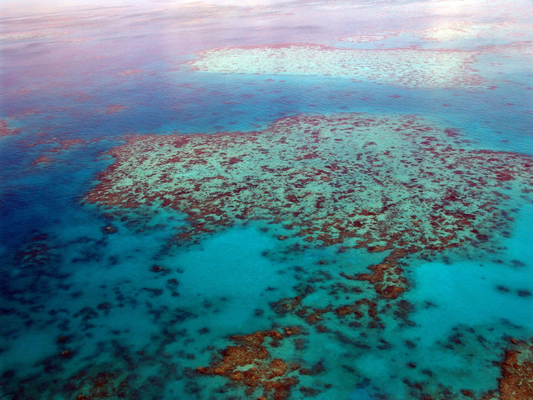 Great Barrier Reef - Erlebe Deinen exklusiven Urlaub bei einer Luxusweltreise! In Deiner Reiserei, Reisebüro in Berlin Brandenburg