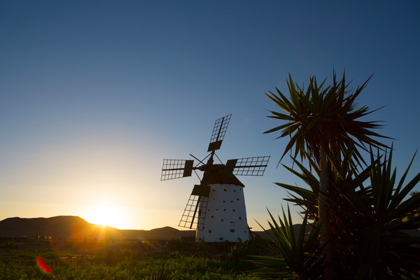 Windmühle auf Fuerteventura - Erlebe Deinen exklusiven Urlaub in Fuerteventura! In Deiner Reiserei, Reisebüro in Berlin Brandenburg