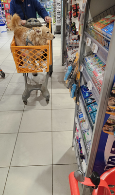 Einkaufen