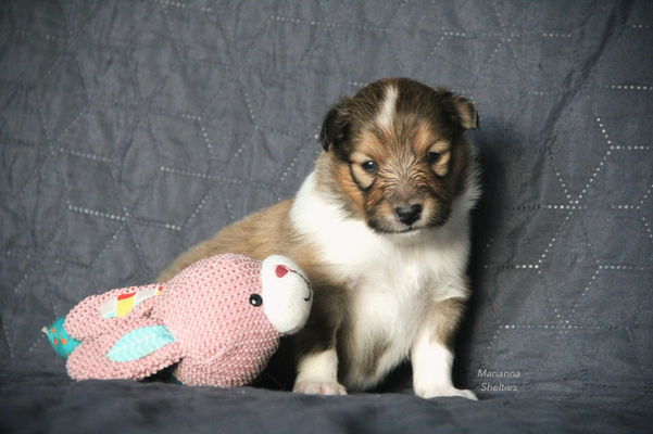 Finley