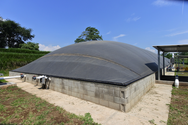Digester for chicken manure AquaLim