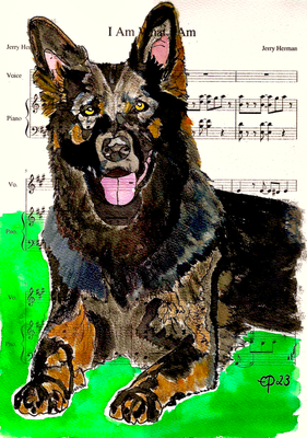 "Kaschi", the wonderful dog of my dear friend Kerstin. December 30, 2023 (watercolor on paper, sheet music, 21x29.7 cm)