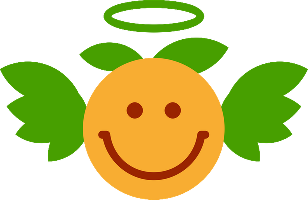 orange - fruit - alimentation - smiley émoticône émoji cartoon clipart illustration - artémotic
