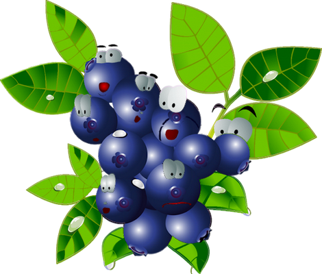 myrtille - fruit - alimentation - smiley émoticône émoji cartoon clipart illustration - artémotic