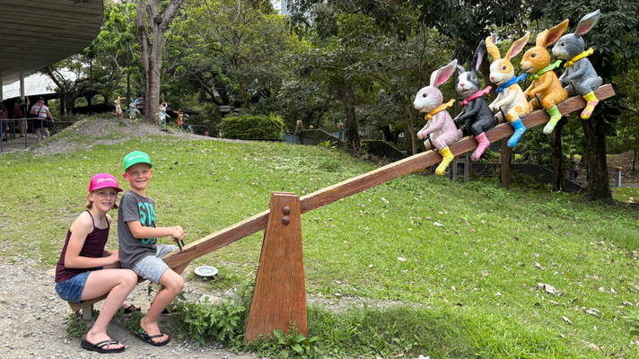 Schaukeln mit Hasen