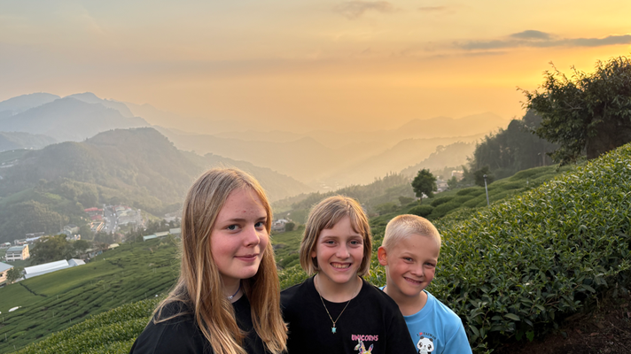 Tee mit Sonnenuntergang