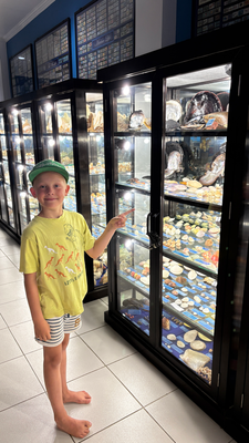 Seashell Museum (NMG)