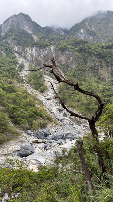 Wilde Taroko Schlucht