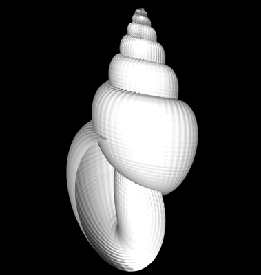 3D Triton (sinistral)