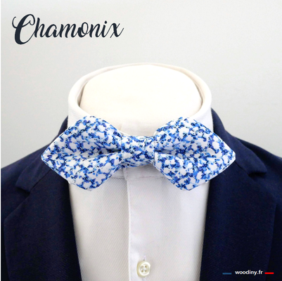 Noeud papillon bleu et blanc