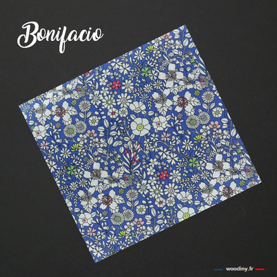 Pochette bleue