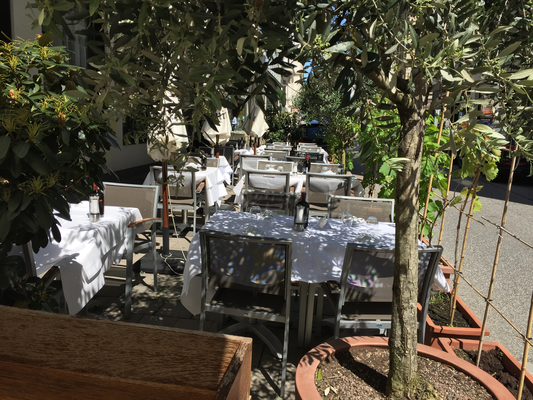 Terrasse mit Olivenbäumen. Terrace with olive trees. Terrazza con ulivi.