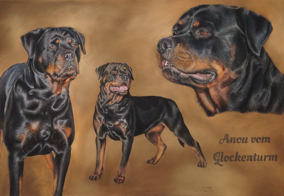 Rottweiler, Collage mit Schrift, 70x100cm