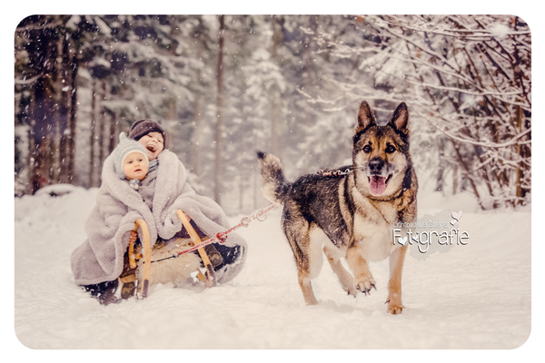 Kinderfotografie-Babyfotos-Fotostudio-Zwickau-Chemnitz-Gera-Jena-Outdoorfotos-Robert Schuhmann stadt-Lichtbildkuenstlerei-Fotografie