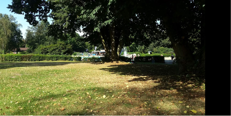 Foto: Michael Drewitz 8.2016 - mit herrlichem Schatten unter alten Bäumen - wie im Park