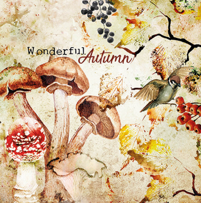 Ambiente Servietten Wonderful Autumn, 20 Stk. 33x33: 4,-€