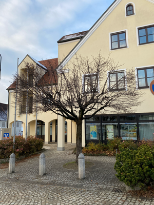 Baumpflege bei der VR Bank Handels und Gewerbebank