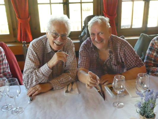 Plato, falco