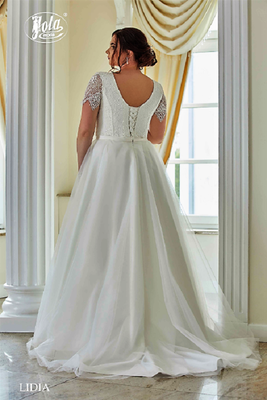 Brautkleid große Größen mit Arm aus Chiffon und Spitze hinten