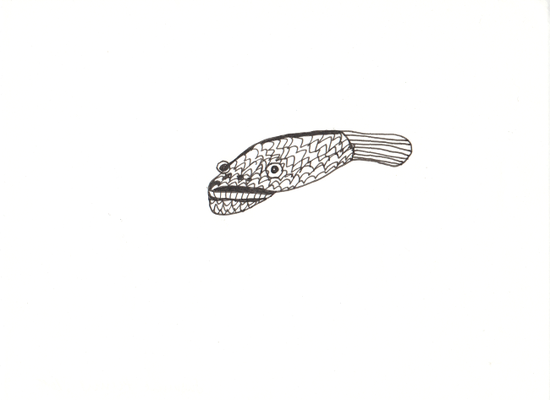 Fisch, 13 x 17,5 cm, Tuschestift auf Papier, Susanne Renner-Schulz
