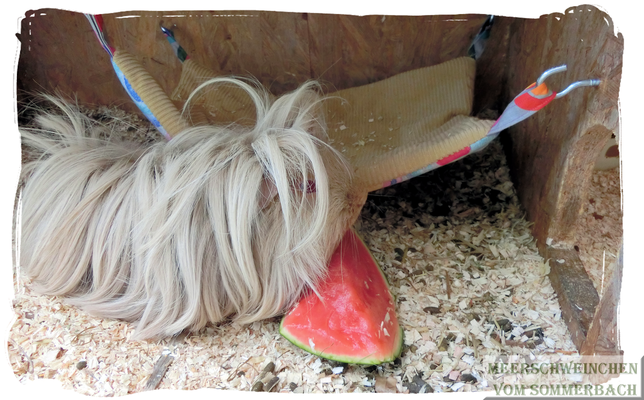 Hmm, lecker