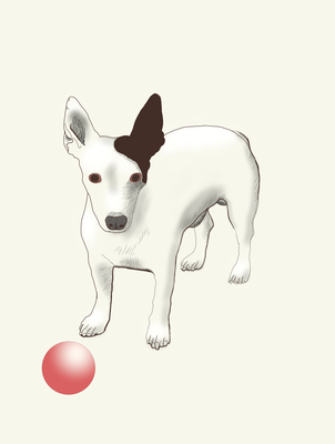 Illustrationen