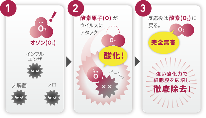 人の心と心を結ぶキレイの伝道師 リースキン ハウスクリーニング Kireimaru ページ 人の心と心を結ぶキレイの伝道師 リースキン ハウスクリーニング Kireimaru ページ