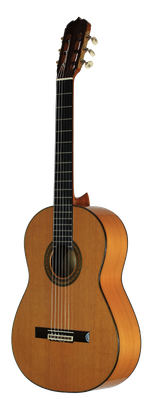 Jose Ramirez 2008 - Guitar 3 - Photo 1