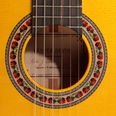 Lester Devoe 2015 - Guitar 1 - Photo 1