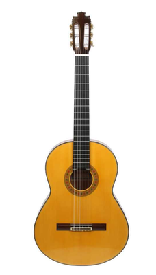 Francisco Barba 2018 - Guitar 5 - Photo 13