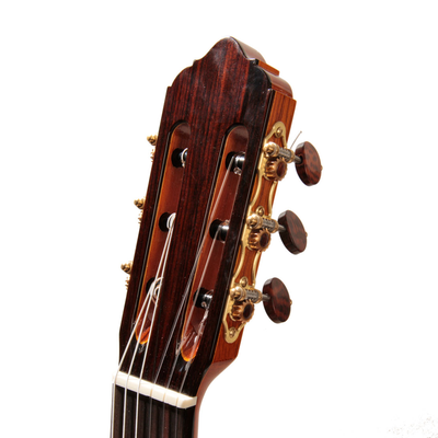 Lester Devoe 2015 - Guitar 1 - Photo 5