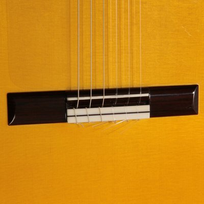 Lester Devoe 2015 - Guitar 1 - Photo 6