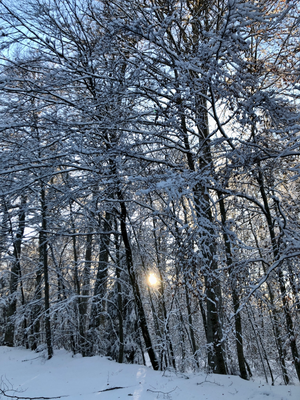 De beaux paysages de neige à quelques kilomètres de La Villa Victoria, chambres d'hôtes proche de Clermont-Ferrand