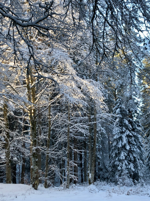 De beaux paysages de neige à quelques kilomètres de La Villa Victoria, chambres d'hôtes à Cournon d'Auvergne