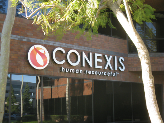 Conexis Channel Letter Sign by Landmark Signs Inc. 