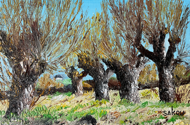 Alignement d'arbres taillés en trogne - 24x16 cm - SKOCP7P2 - Disponible