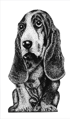 Hushpuppies, 21x30cm, Tuschezeichnung