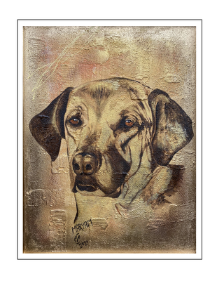 'Dogs are beautiful: Hichie' Size: 60x80x3