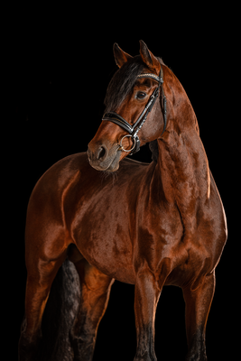Foto: Fotografie Nitsche | Jennifer Nitsche