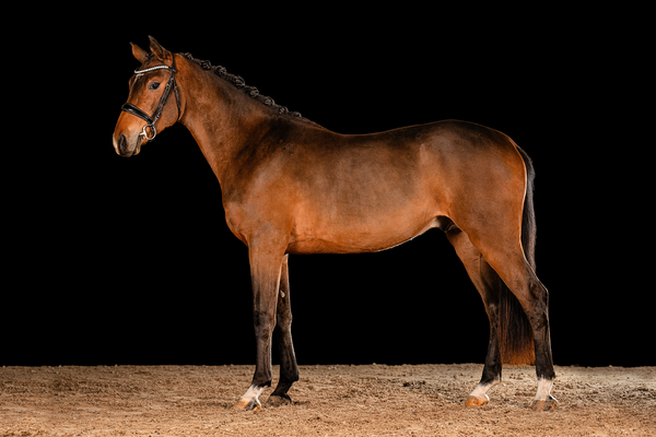 Foto: Jennifer Nitsche // Fotografie Nitsche